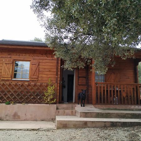 Villa La Casa Del Estanque Olocau del Rey Esterno foto