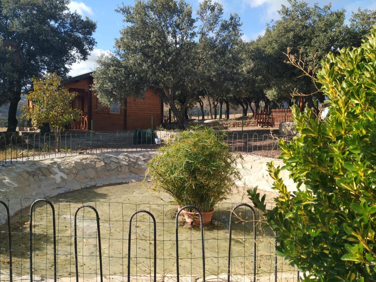 Villa La Casa Del Estanque Olocau del Rey Esterno foto